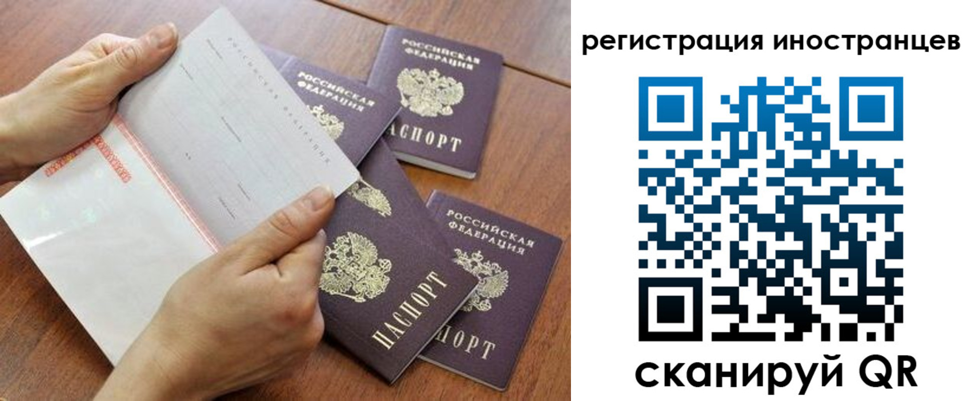 прописка поиск в Ивантеевке